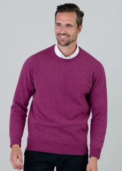 Clearance Gordon 1 Ply Geelong Crew Neck - Knitwear