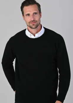 Sale Leven 2 Ply Lambswool Crew Neck Plus Size - Knitwear