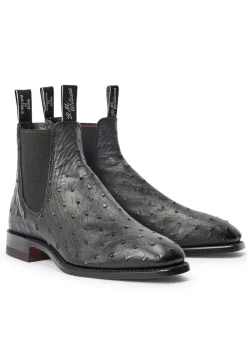Fashion Ostrich Boots - Black Boots|Chelsea Boots