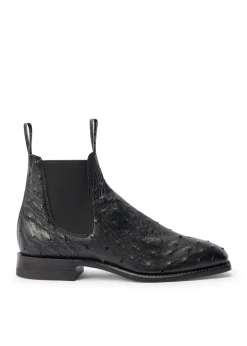 Fashion Ostrich Boots - Black Boots|Chelsea Boots